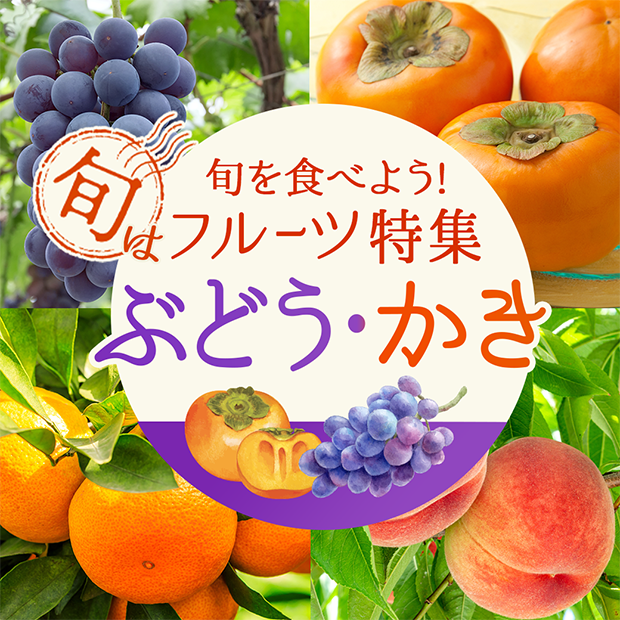 旬を食べよう！フルーツ特集
