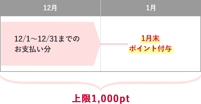 12/1～12/31までのお支払い分 → 1月末ポイント付与 上限1,000pt