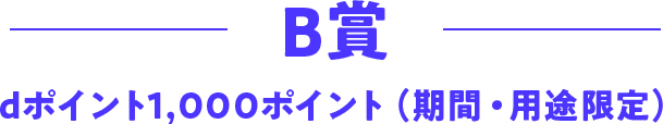 B賞 dポイント1,000ポイント（期間・用途限定）