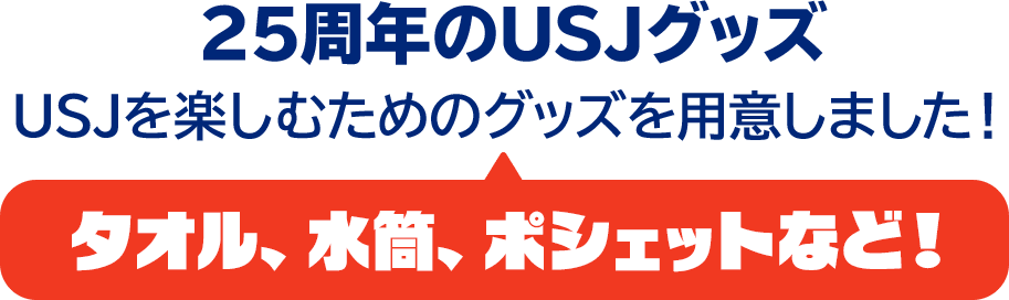 25周年のUSJグッズ USJを楽しむためのグッズを用意しました！タオル、水筒、ポシェットなど！