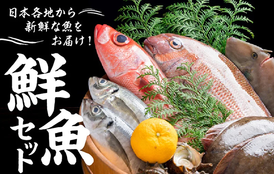 日本各地から新鮮な魚をお届け！ 鮮魚セット
