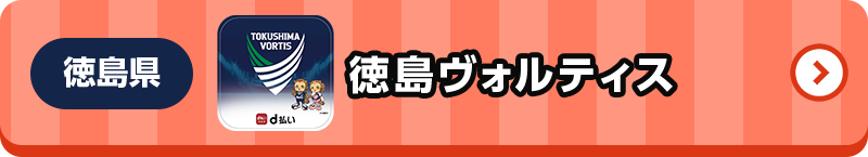 徳島県 徳島ヴォルティス