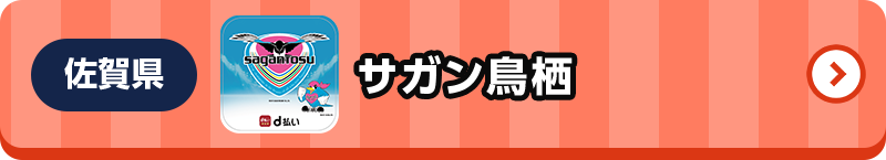 佐賀県 サガン鳥栖
