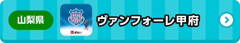 山梨県 ヴァンフォーレ甲府