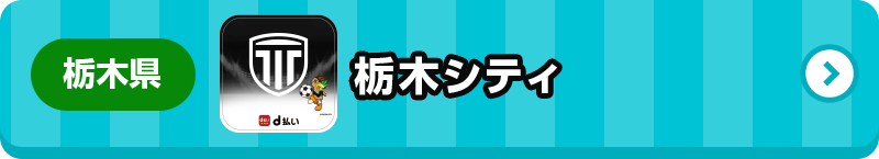 栃木県 栃木シティ