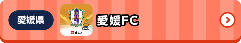 愛媛県 愛媛FC
