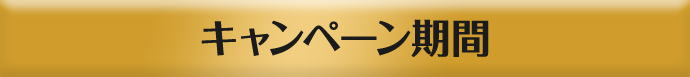 キャンペーン期間