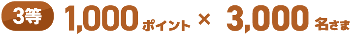 3等 1,000ポイント×3,000名さま