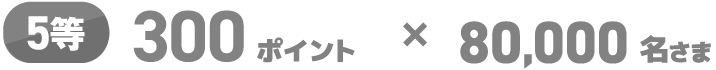 5等 300ポイント×80,000名さま