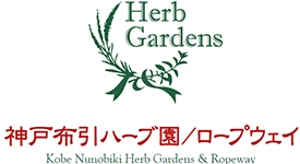 神戸布引ハーブ園/ロープウェイ