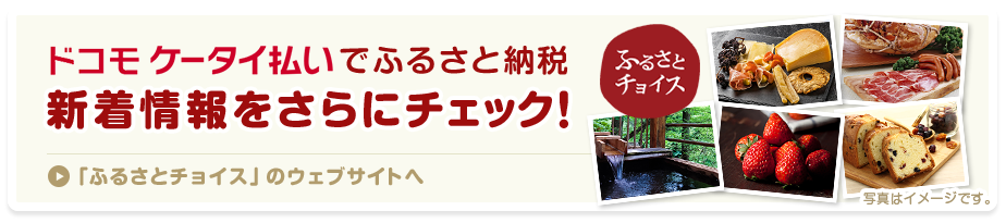 あなたの意志のふるさとに ふるさとチョイス 全国のふるさと納税を地域・特典・使い道から選べる ふるさとチョイスのウェブサイトはこちら