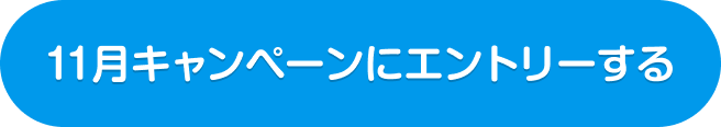 11月キャンペーンにエントリーする