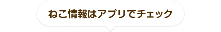 くじだけじゃない！SmartNews for docomoはにゃんこパラダイス！