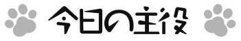 今日の主役