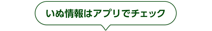 いぬ情報はアプリでチェック
