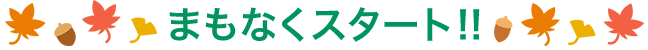 まもなくスタート